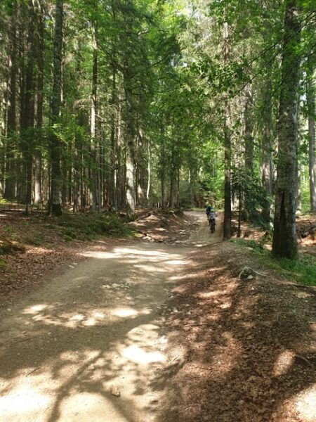 From Brasov: Viscri, Meshendorf, Bunesti Ebike Tour - Booking Information
