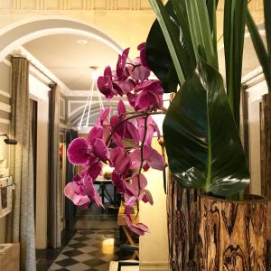 Hotel Recamier - Transportation Information