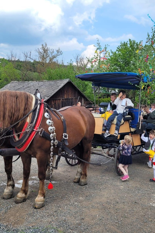 KarlšTejn Castle by Horse Carriage - Frequently Asked Questions