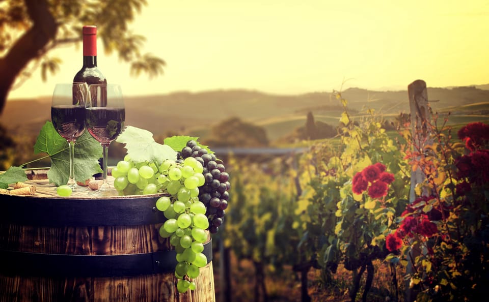 Private Day Trip From Vienna to Lednice, Valtice and Mikulov - Frequently Asked Questions