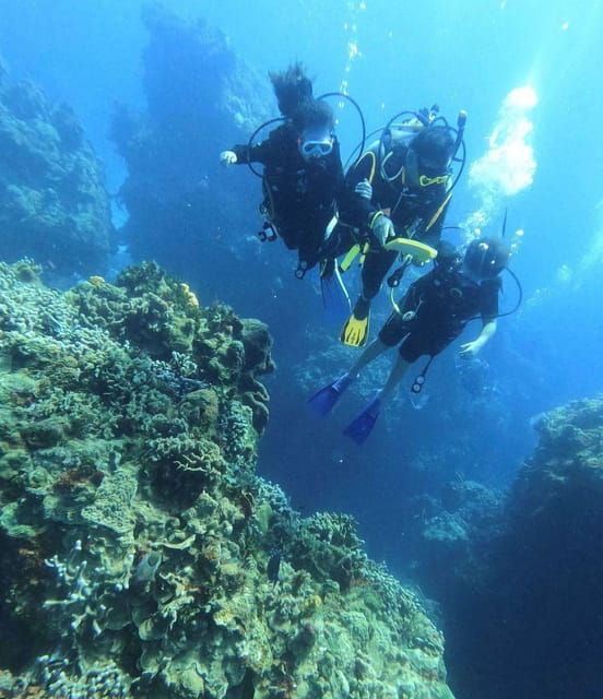 Cancun: Lionfish Expedition Package