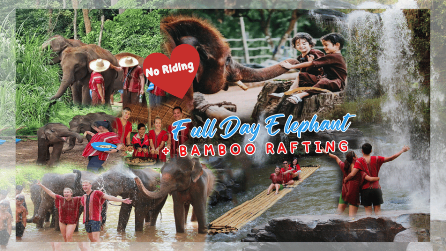 Chiang Mai: Full Day Elephant Eco Park Tour + Bamboo Rafting - Experience Highlights