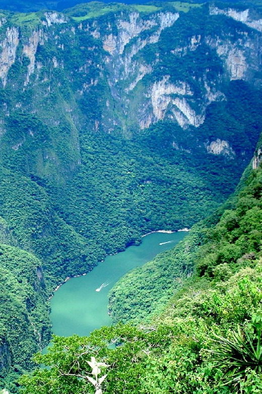 Chiapas: Private Nature Tour and Adventure 5 Days – 4 Nights