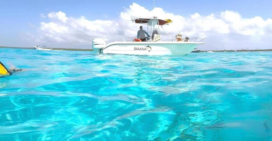 Cozumel: Private Snorkel Trip to El Cielo With Beach Club - Tour Overview