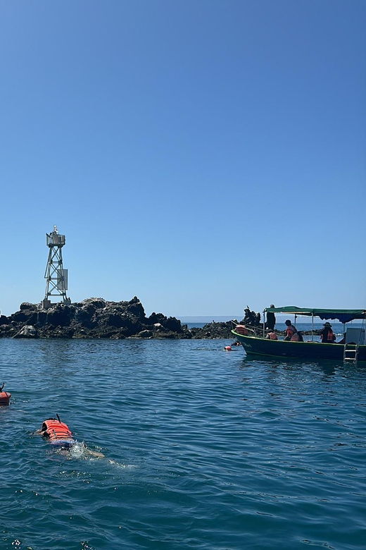 Cruise Date Delight! La Paz: Swim With Sea Lions! - Activity Overview
