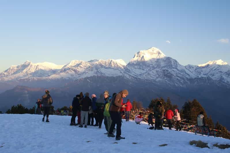 Discover Nepal: 12 Day Trekking and Wildlife Expedition - Overview of the Expedition