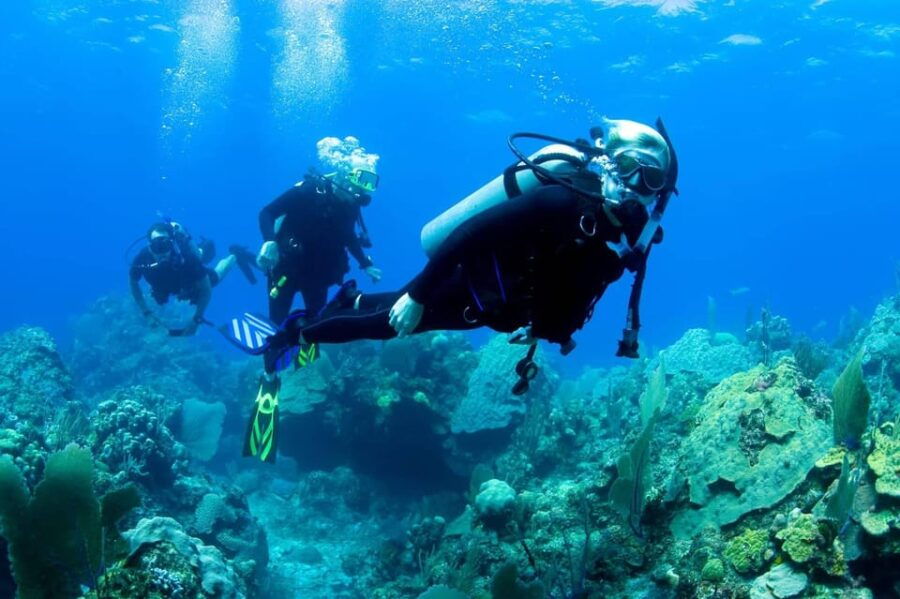 Ensenada: Guided Two-Tank Dive at Arbolitos Dive Park - Activity Overview