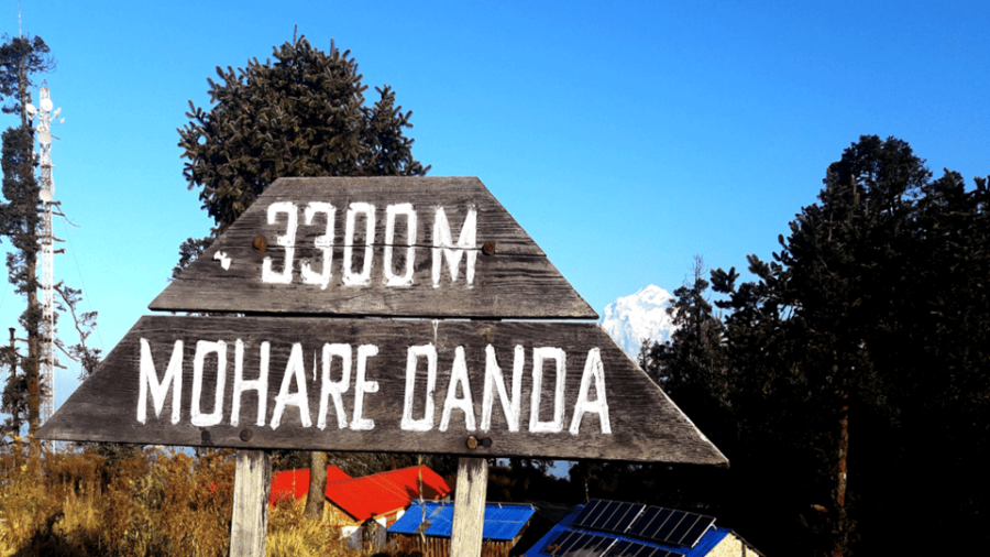 From Pokhara: 3 Night 4 Days Mohare Danda & Poon Hill Trek