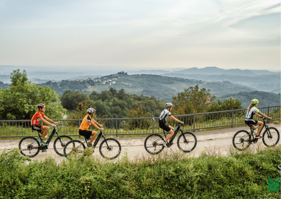 Goriška Brda: E-Bike Tour With Local Guide