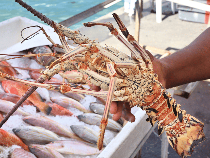 Koh Samui: Private Half-day Taxi Tour in the North