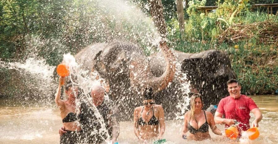 Krabi : Half Day Elephant Bathing & Thai Food Cooking Tour - Transportation and Inclusions