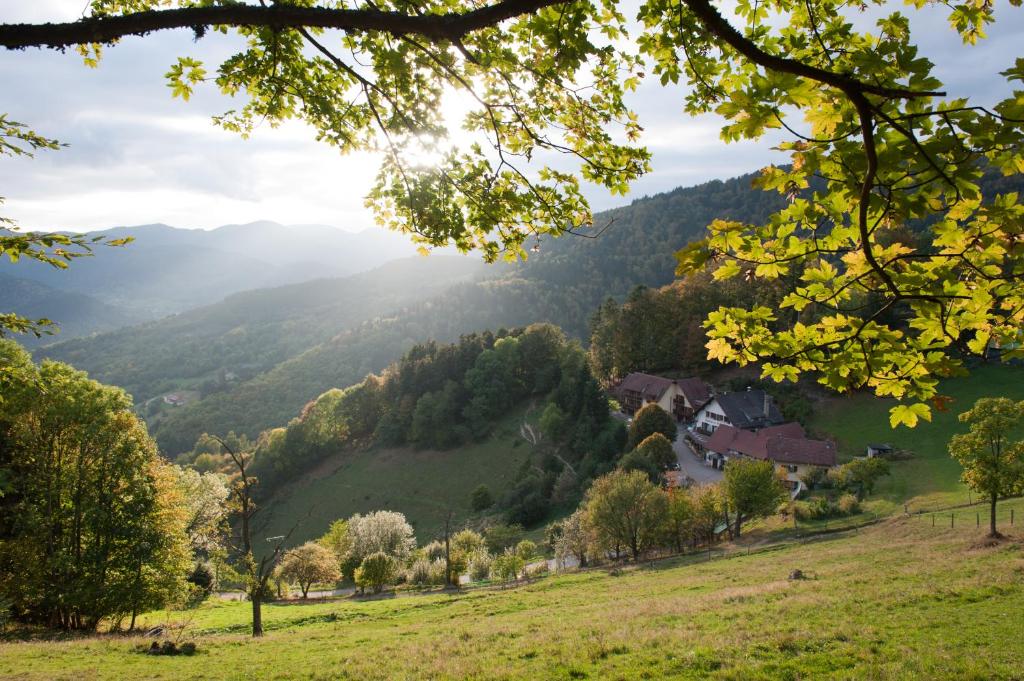 Logis Auberge Du Mehrbachel - Hotel & Restaurant - Points About Your Stay
