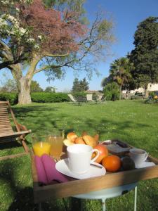 Logis Hôtel Château De Palaja - Points About Your Stay