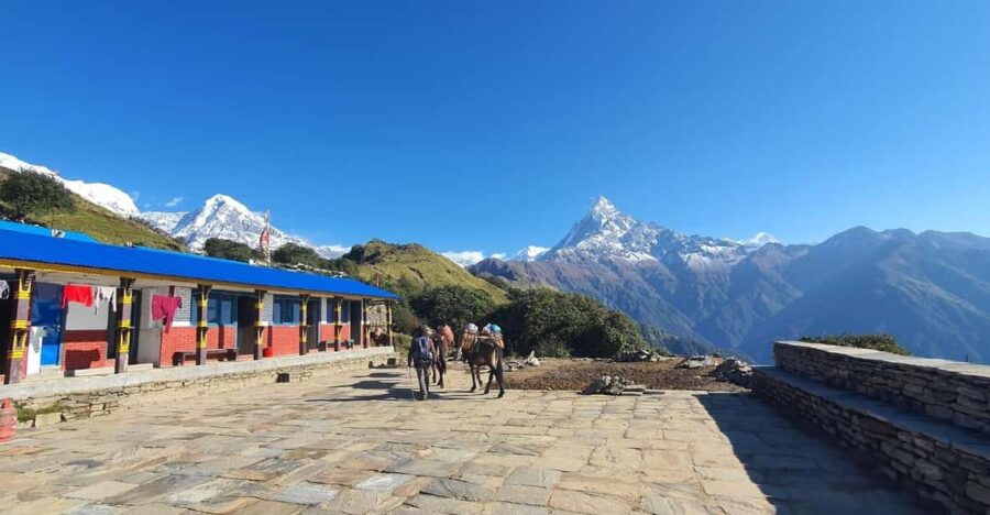 Mardi Himal Guided Trekking Package From Pokhara - 6 Days - Trek Overview