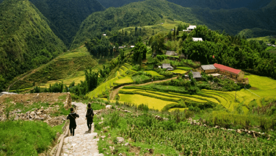 Ninh Binh: Sapa Transfer by VIP Sleeper Bus