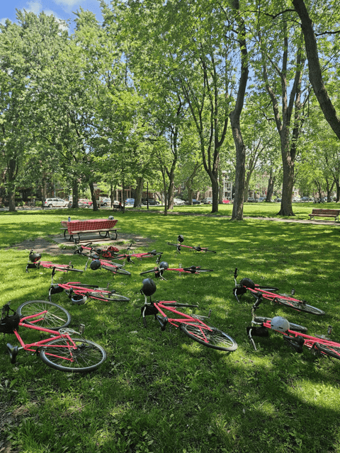Non Touristy Montreal Pink Bike Tour - Tour Overview and Details