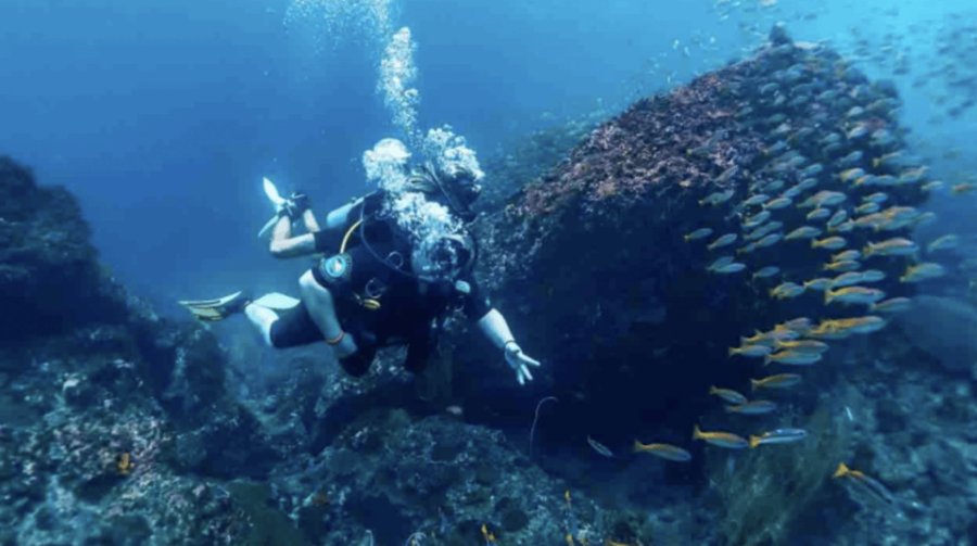 Phi Phi: Scuba Diving With Portuguese Speaking Instructor
