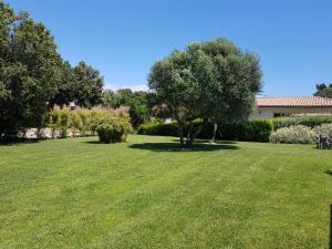 Red Poisson - Points About Your Stay