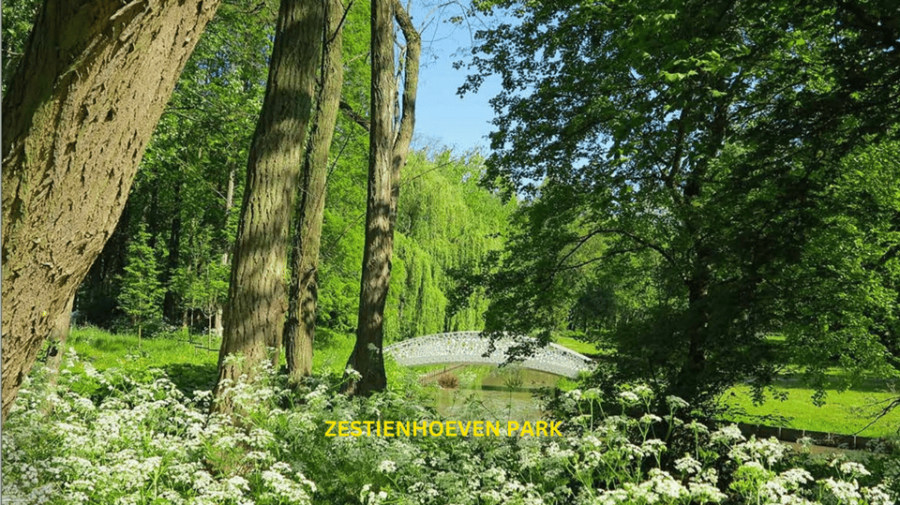 Rotterdam Countryside on the Wheels - Bike Tour Around City - Tour Overview and Pricing