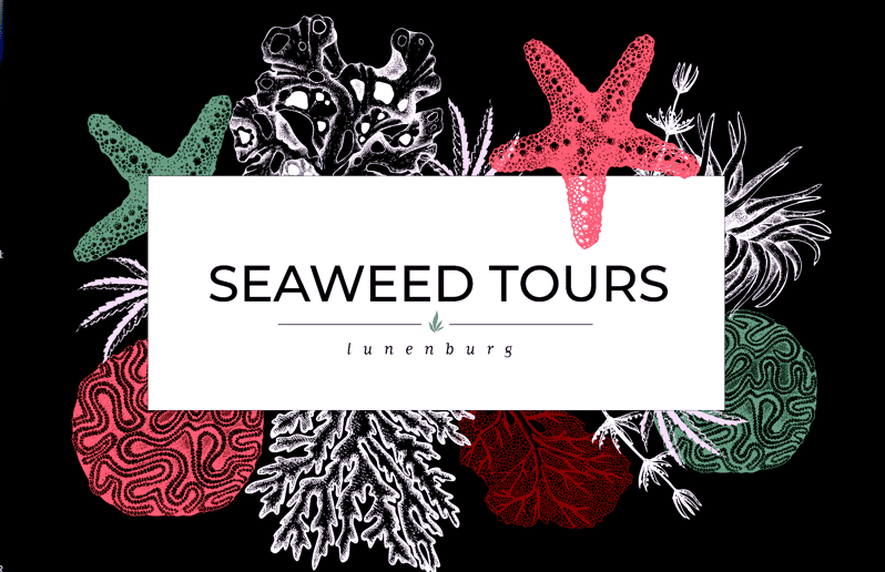 Seaweed Tours Lunenburg N.S Can UNESCO World Heritage Site.