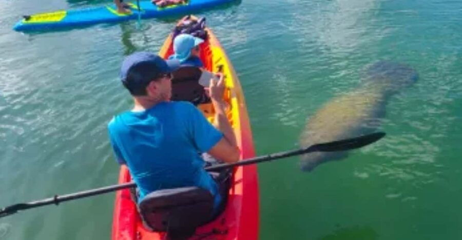 Siesta Key: Kayak and Paddleboard Rentals - Rental Options