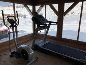 The Chalets of Thorens - Overview and Location