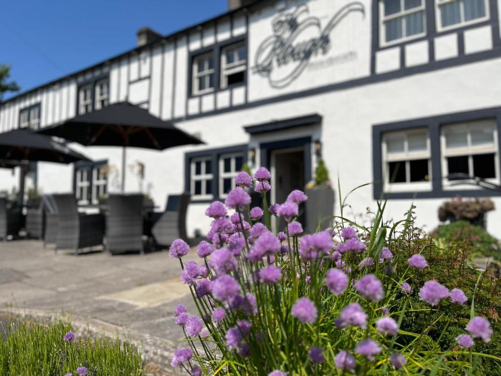 The Plough Review