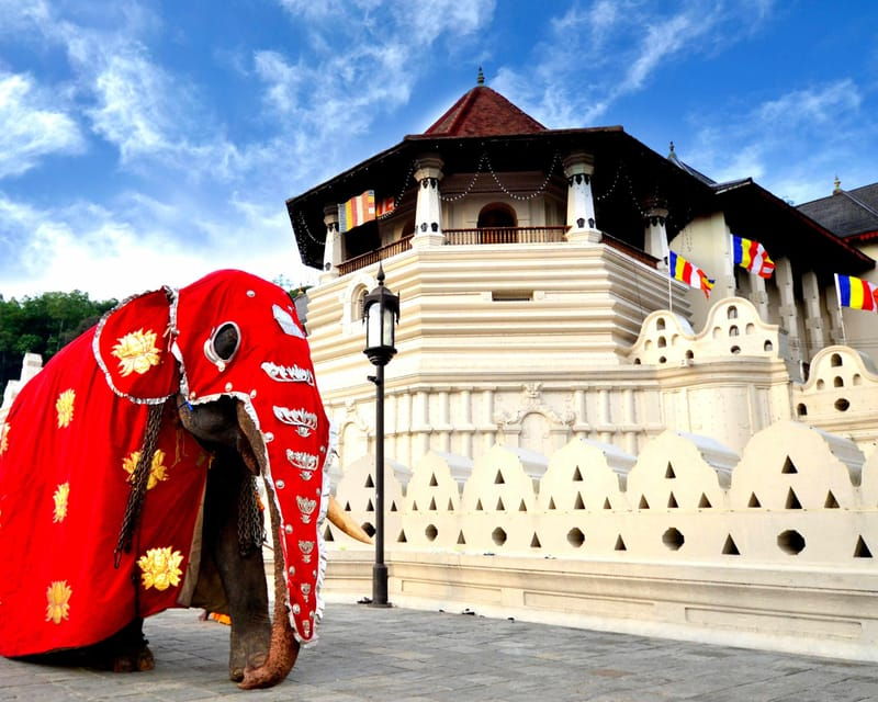 08 Nights 09 Days Tour Package