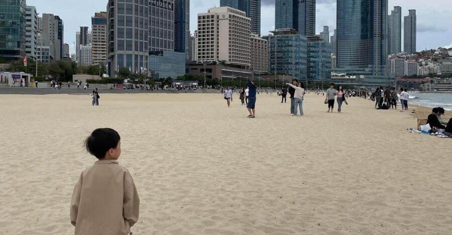 3 Day Busan Tour All Inclusive Hotel, Guide, Lunch and Coach