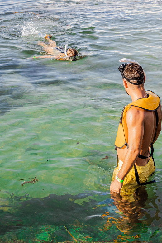 5 in 1 Snorkeling Boat Experience in Cancun - Tour Overview
