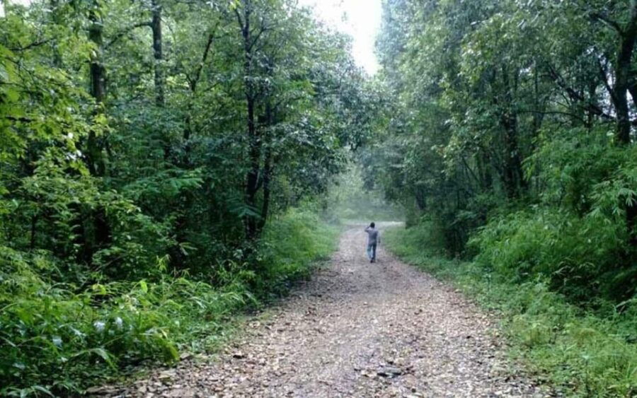A Day Hiking From Kathmandu: Phulchowki Hill