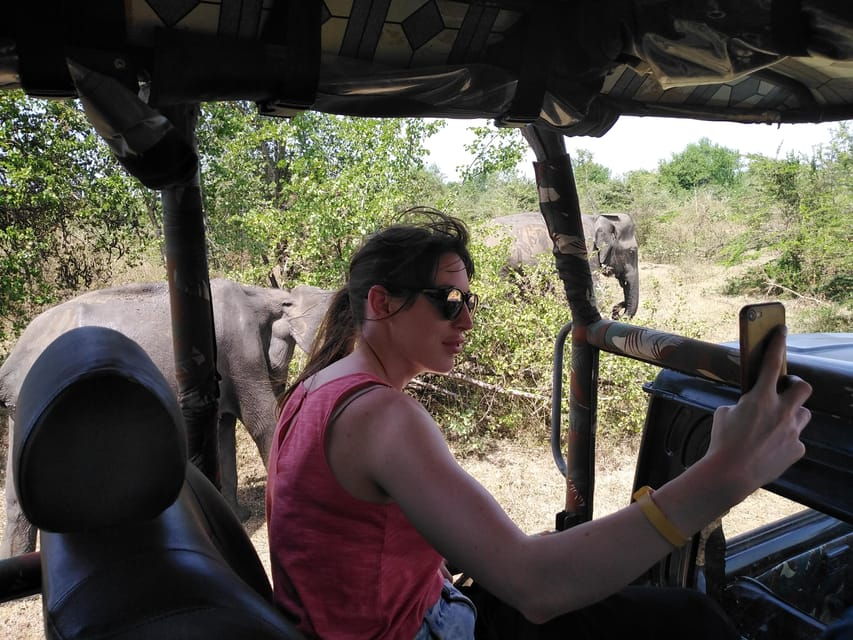 A Udawalawa Safari Tour (All Inclusive - Colombo/Galle) - Tour Overview