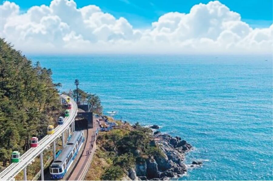 A Well-Rounded Small Group Busan Tour With a Certified Guide
