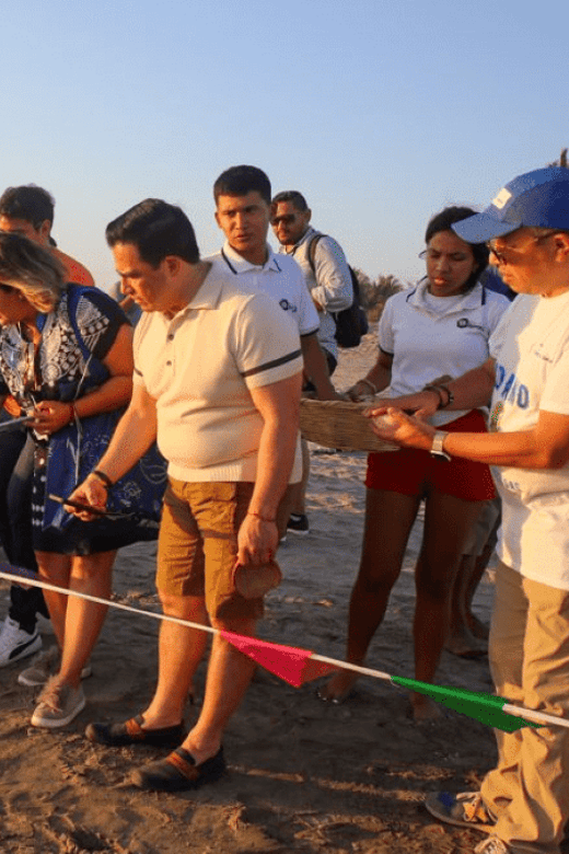 Acapulco: Turtle Release Experience - Turtle Release Overview