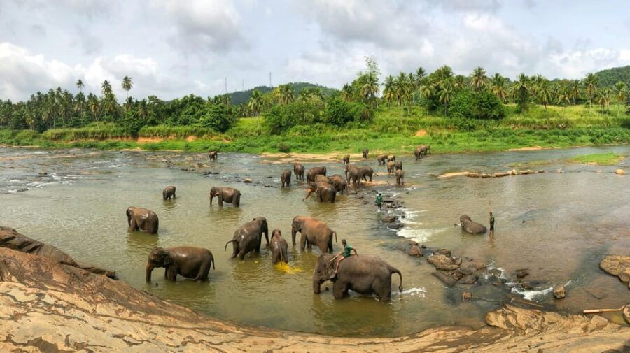 Adventure Odyssey in Sri Lanka