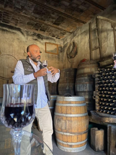 Aguascalientes: Cheese and Wine Tour