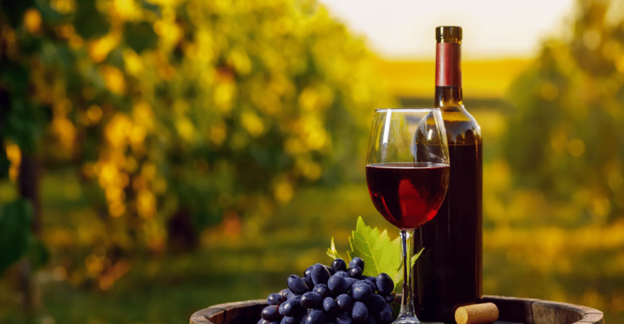Aguascalientes: Wine Route With Tasting Included - Tour Overview