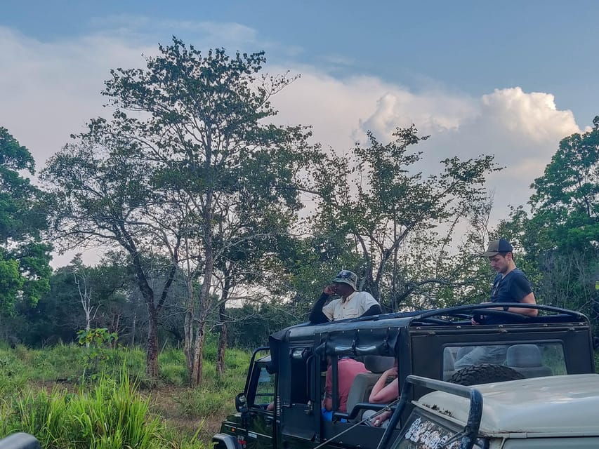 Ahangama: Yala National Park Safari With Hotel Pickup
