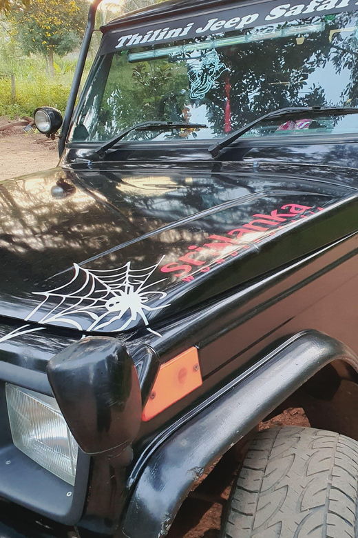 Airport Pick-Up by Jeep and Drop-Off in Sigiriya