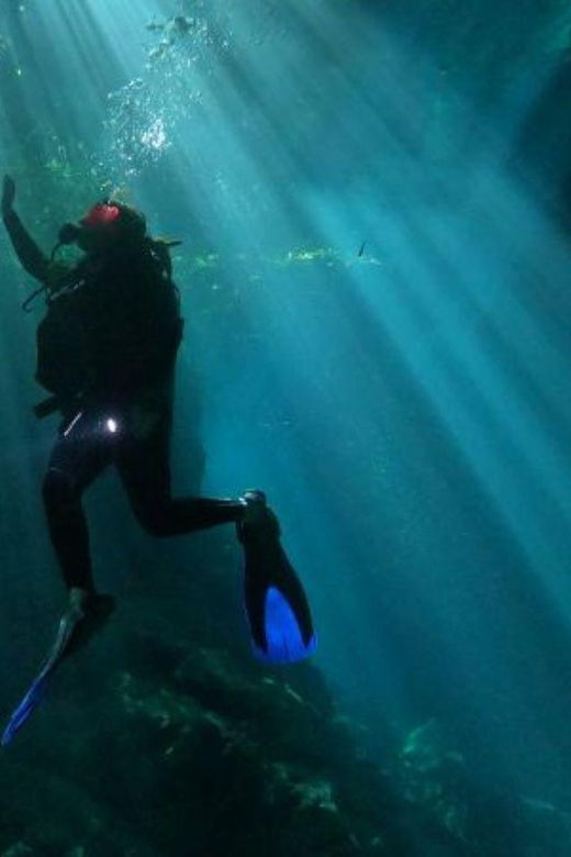 Akumal: 2 Dives at Hells Bells and Cenote Maravilla
