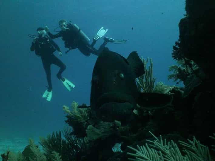 Akumal: Scuba Diving Experience