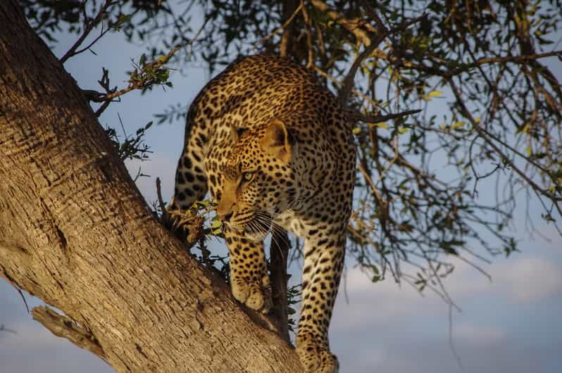 All in Sri Lanka 7-Days Tour, History, Culture, Nature