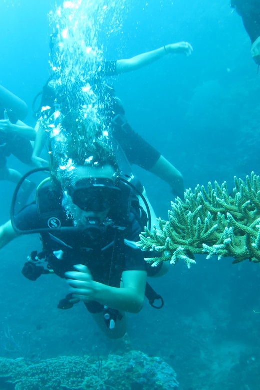 All Include Fun Dive at Menjangan Island - Overview of Menjangan Island