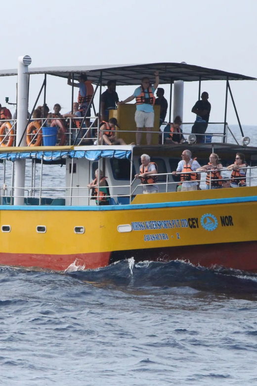 All Inclusive Mirissa Whale & Dolphin Watching + Snorkeling - Overview of the Experience
