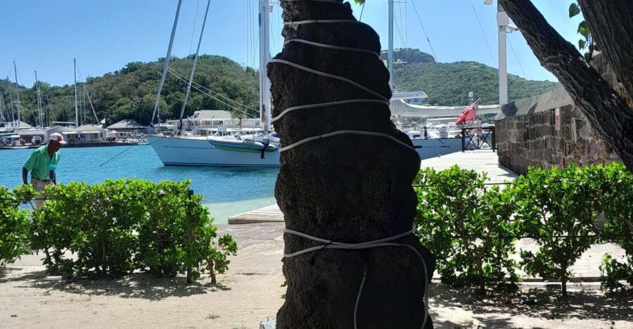 Altagracia: Multi Language Island Tours With Tasting - Tour Overview