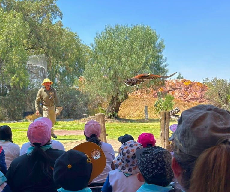 Amazing Safari at Teotihuacán