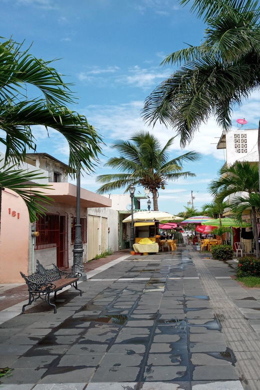 An Experience of Color, Aroma and Flavor in Veracruz.