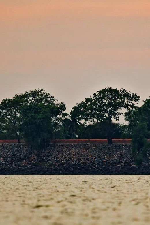 Anuradhapura & Aukana: All Inclusive Tour From Trincomalee