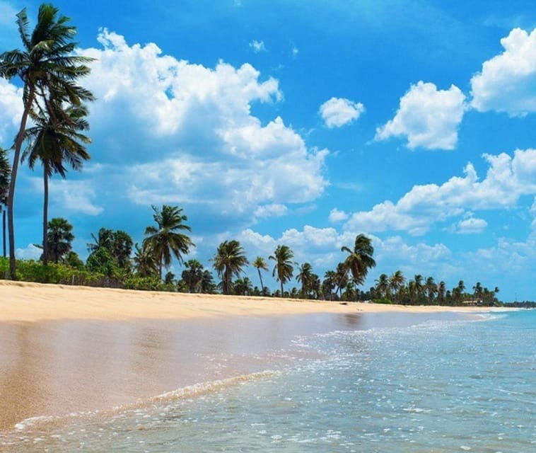 ARUGAMBAY THE BEST SURFING BEACH IN SRILANKA