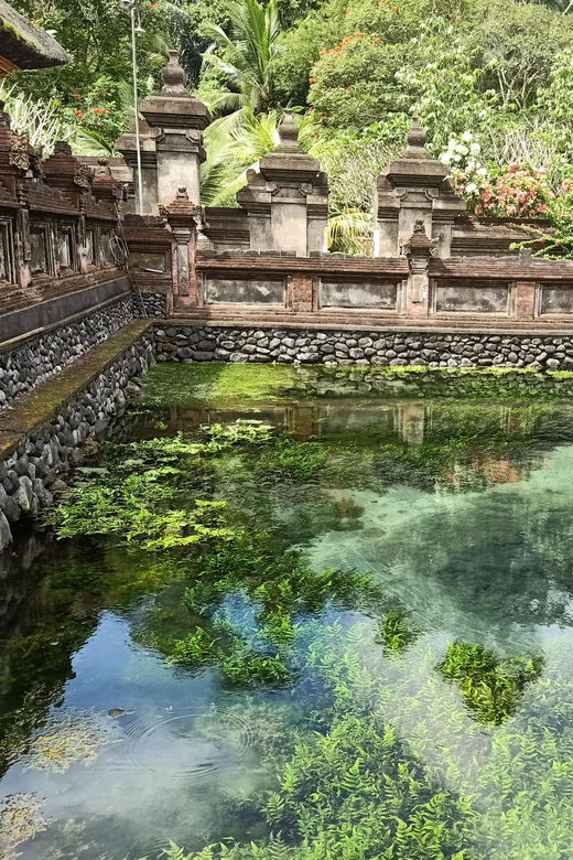 Bali: Customized Private Day Tour With Guide-Driver - Tour Overview and Pricing